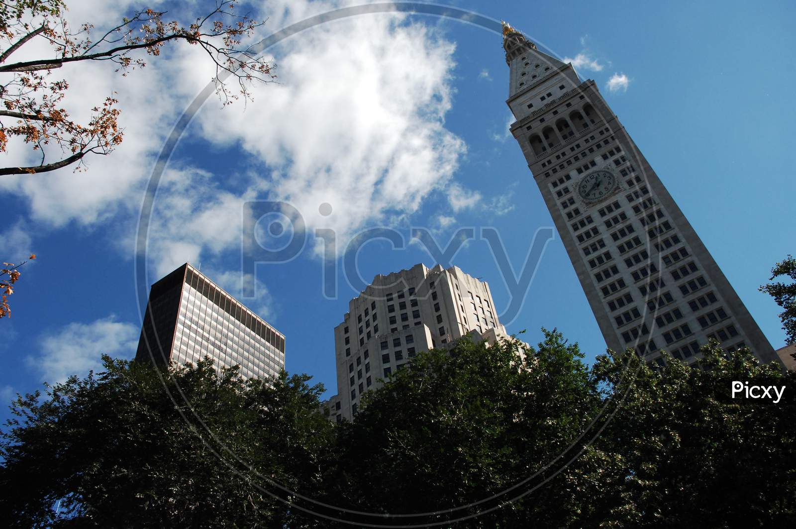 Canopy Of High Rise Buildings Over Blue Sky