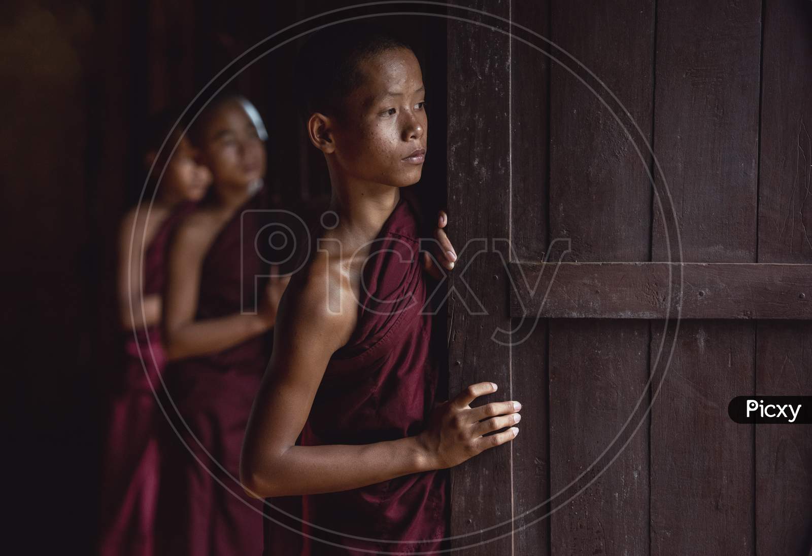 Novice Monks In Myanmar