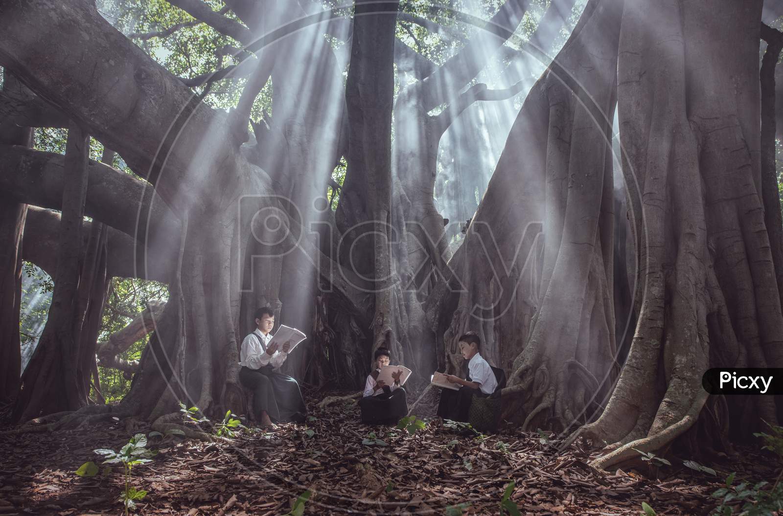 Little Asian Boy Reading A Book Under Big Tree In Rural Areas