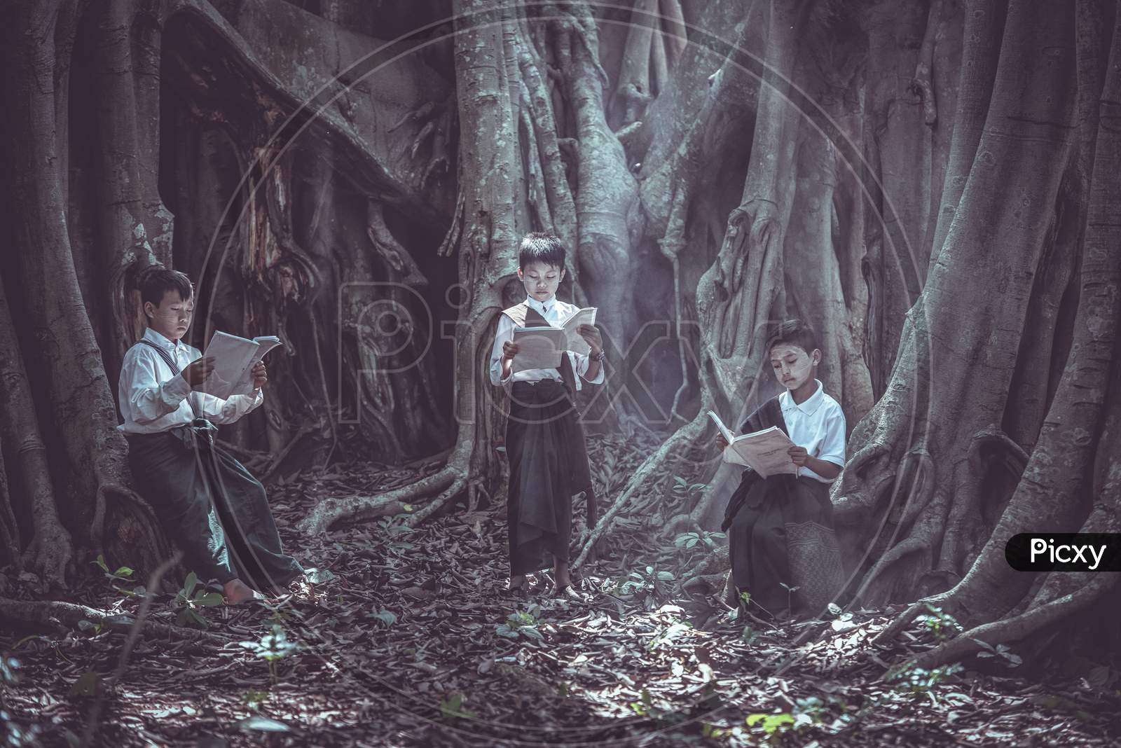 Little Asian Boy Reading A Book Under Big Tree In Rural Areas