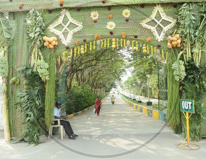 Wedding Venue Decoration With Coconut Leafs And Fruits
