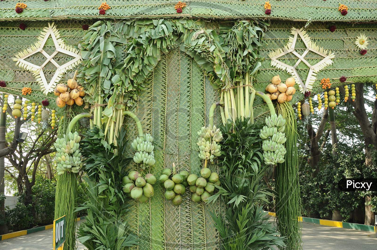 Wedding Venue Decoration With Coconut Leafs And Fruits