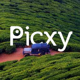 Profile picture of Picxy Originals on picxy