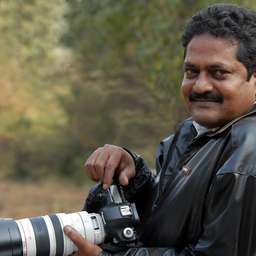 Profile picture of Venkateshwarlu Kola on picxy