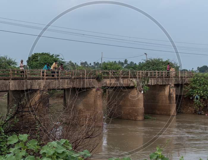 people fishing from the bridge