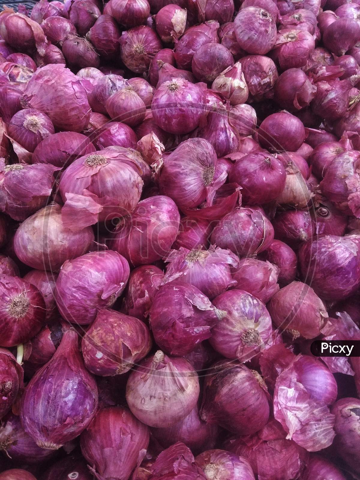 Closeup Shot of Onions