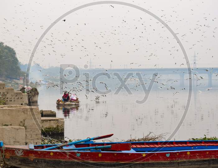 A boat near the Yamuna ghat and migratory birds flying around