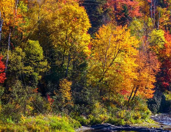 Fall day near the river, Chutes Prov Park, ON, Canada