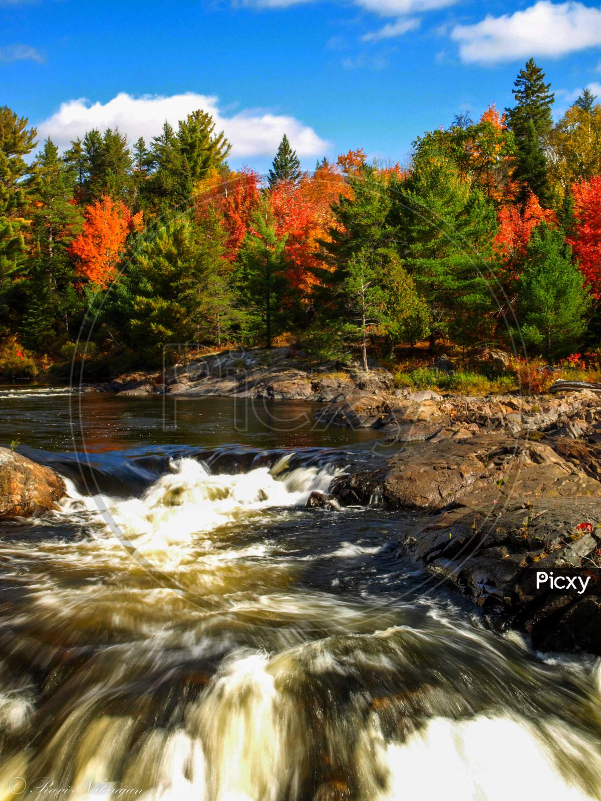 Bright sky, clouds, and fall foliage add to the flowing river, Chutes Prov Park, ON, Canada
