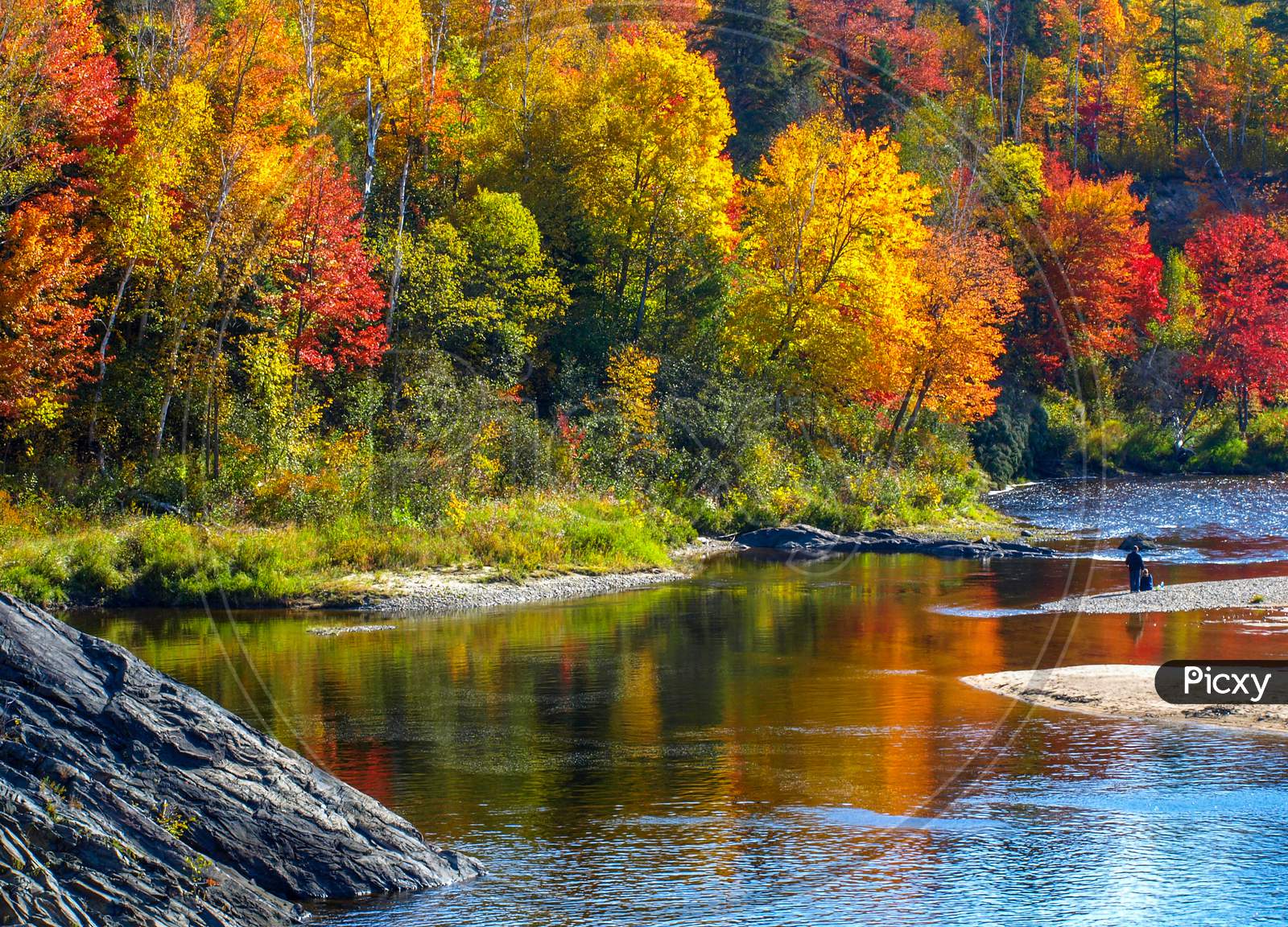 Gold and red reflecting off a slow meandering river, Chutes Prov Park, ON, Canada