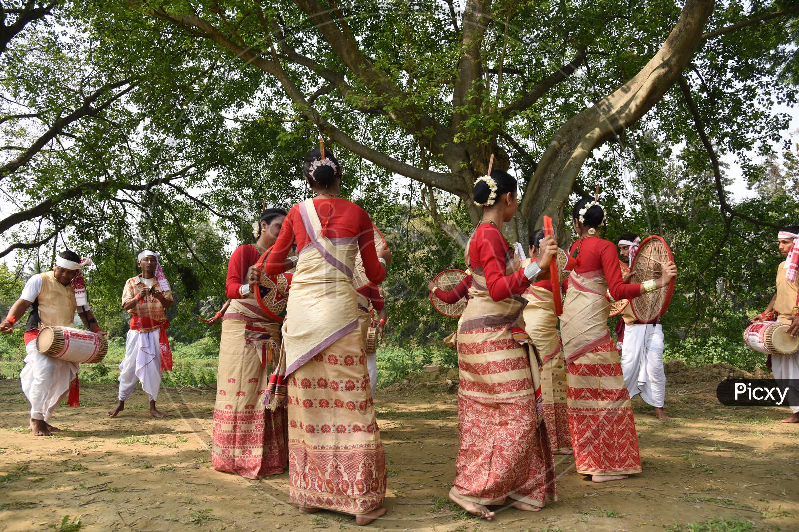 Image Of Young Assamese Woman Performing Bihu Dance , A Traditional 