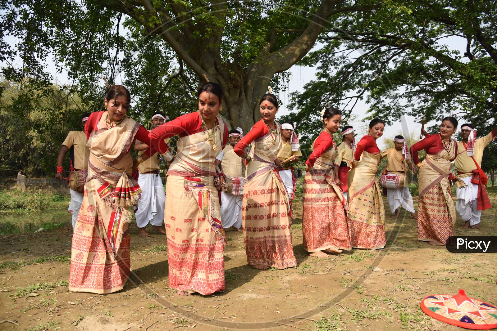 Young Assamese Woman Performing  Bihu Dance  , A Traditional Indigenous  Group Folk Dance Form In Assam State