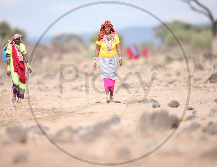 Indian Rajasthani Women walking in a field