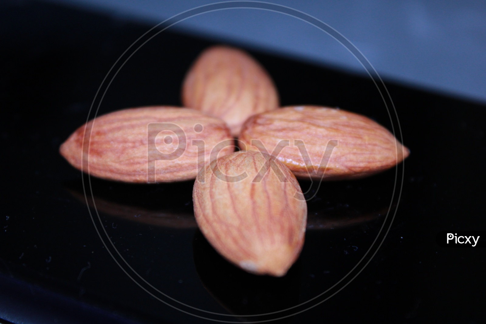 Almond (Prunus dulcis) - High Quality Dry Fruit