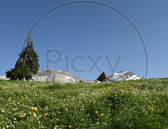Landscape Of Mountain And Swiss Alps