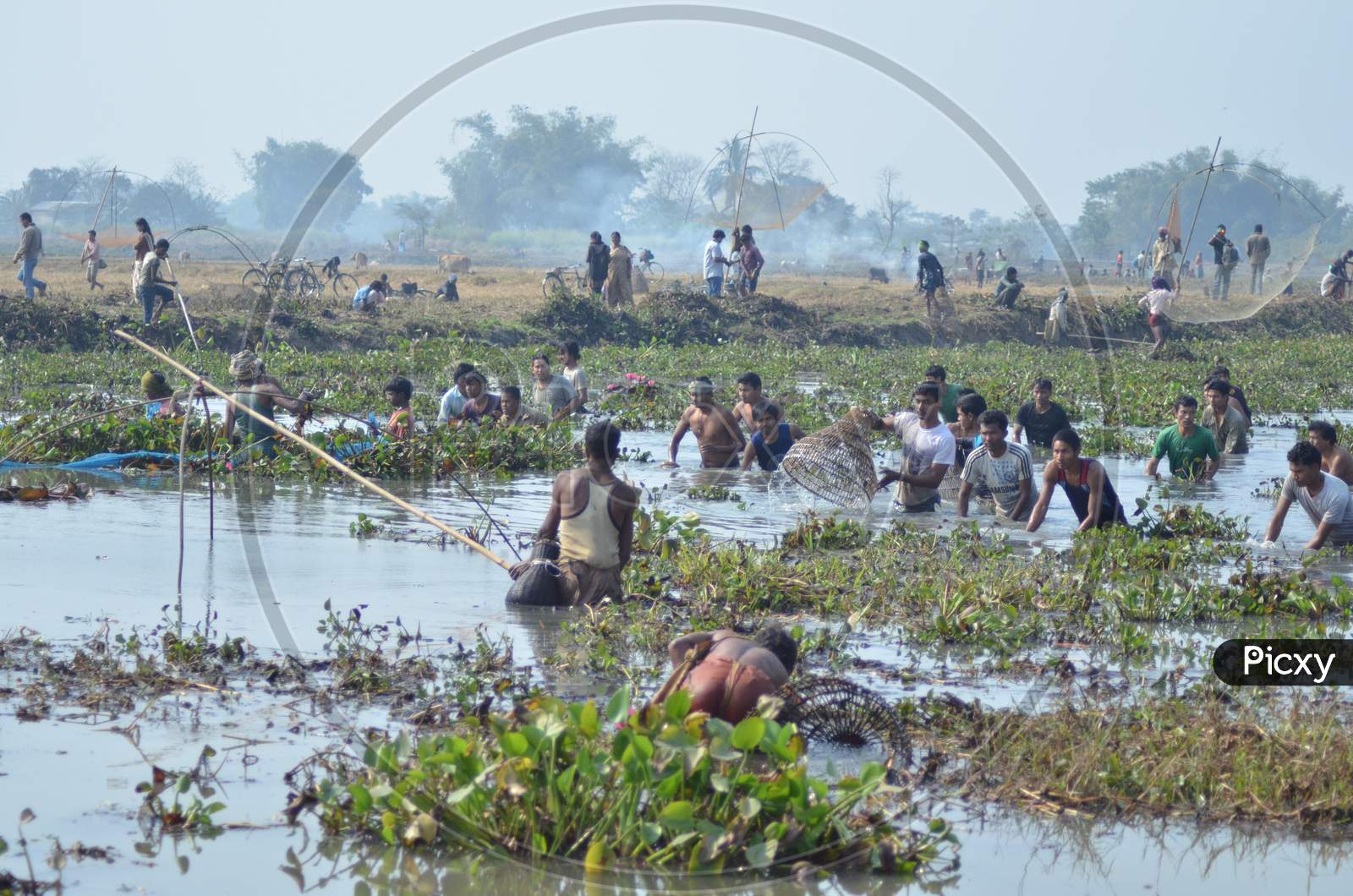 Community Fishing  As a Part Of Joonbeel Festival  in  Morigaon, Assam