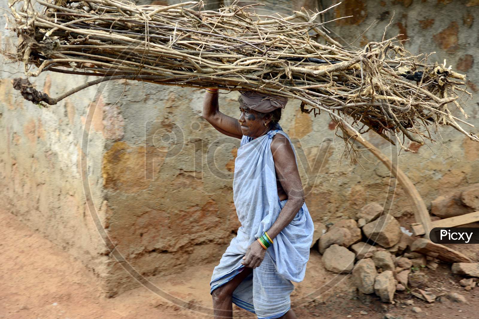 Indian Tribal Woman carrying pile of sticks on her head