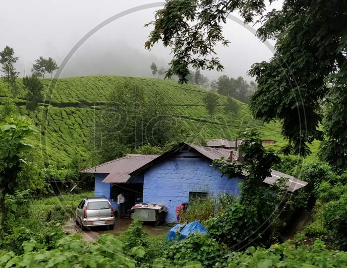 A House Surrounded by Tea Plantations in Munnar