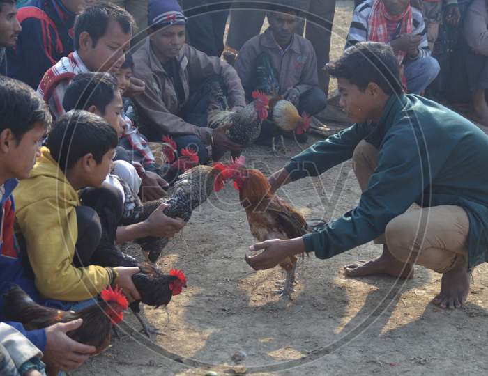 Cock Fight Competition  During  Joonbeel Festival In Morigaon , Assam