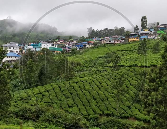 Early Morning View of Munnar Landscapes