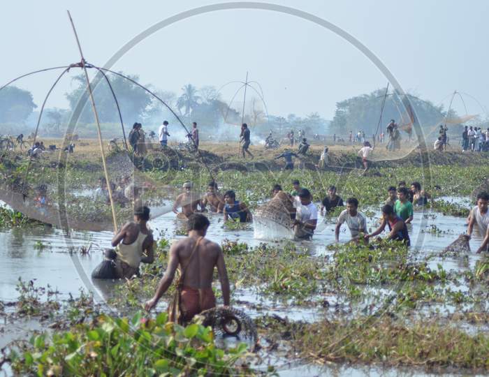 Community Fishing  As a Part Of Joonbeel Festival  in  Morigaon, Assam