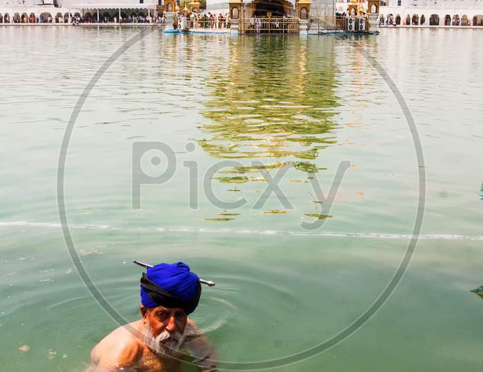 Devotee taking a holy dip on the lake of the Golden Temple or Harmandir Sahib