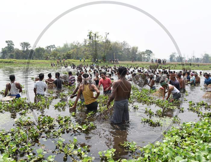 Tribal People Participating In Community Fishing With Nets In Rural Areas of  Nagaon , Assam