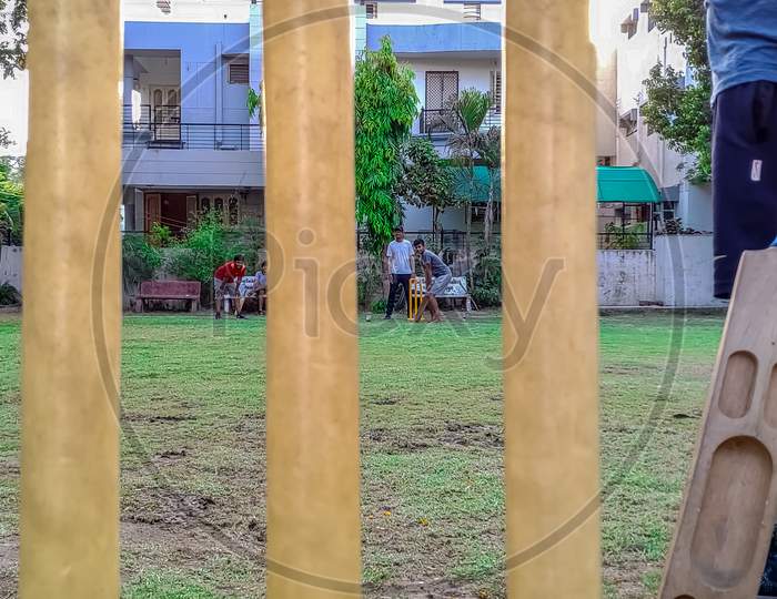 Cricket Stumps In an Lawn Garden