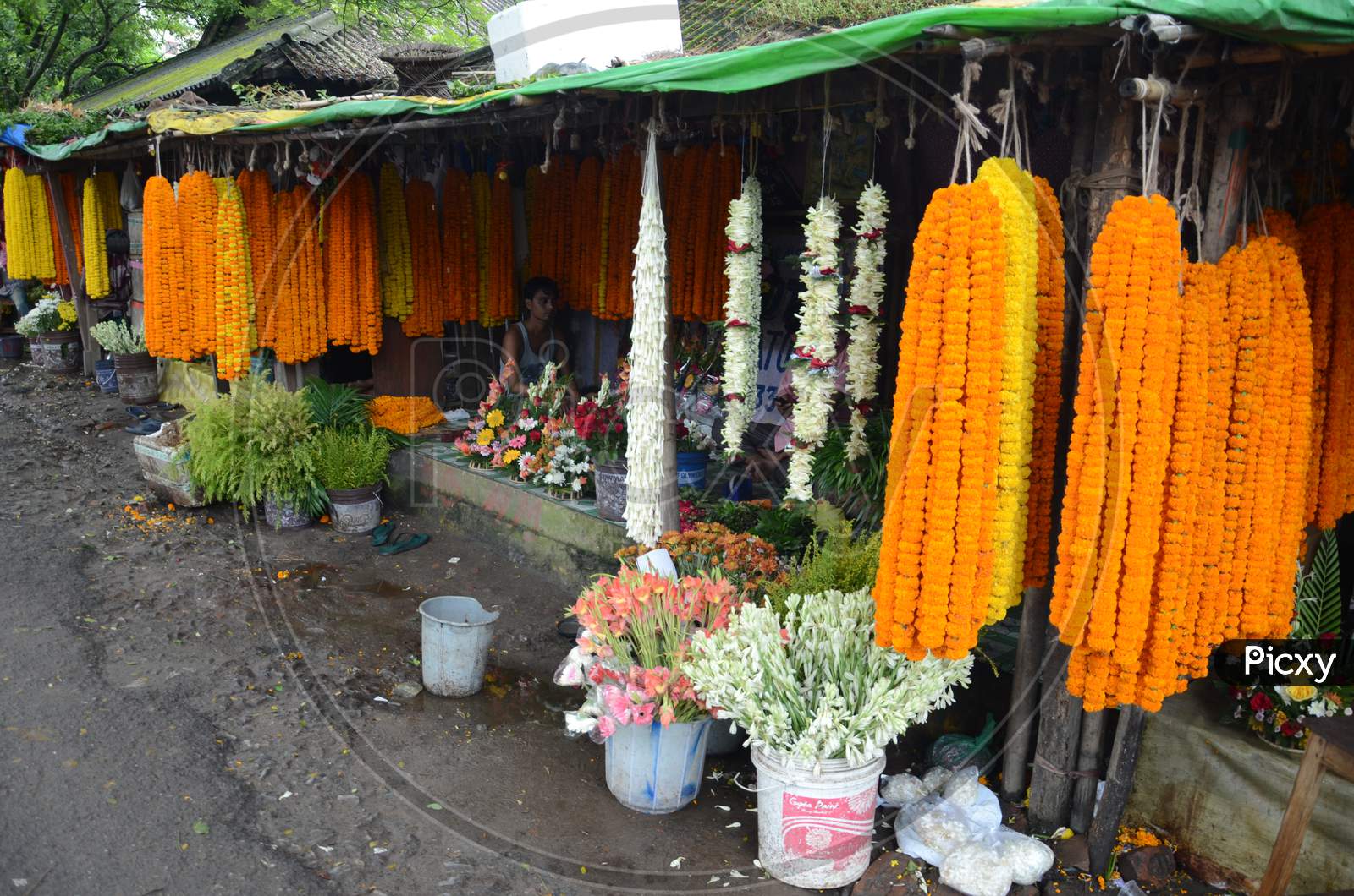 Guwahati,Assam,India -September 7th 2016 : Fresh Flowers in Flower Market