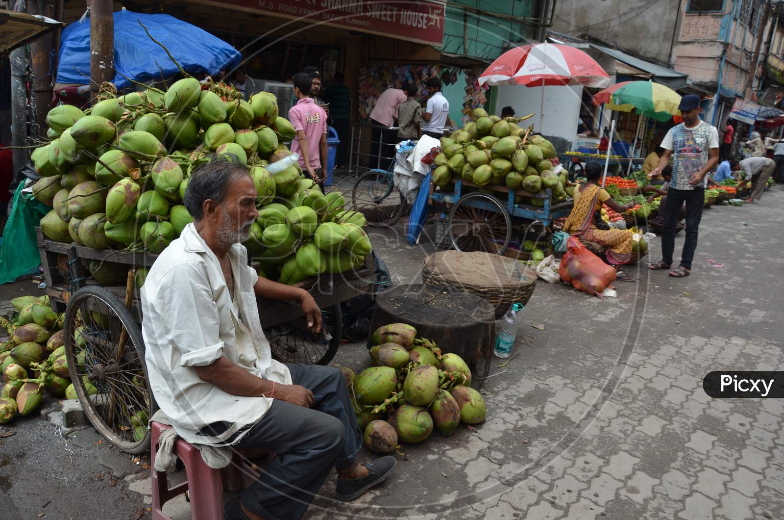 An Old Man Selling Coconuts in Guwahati, Assam