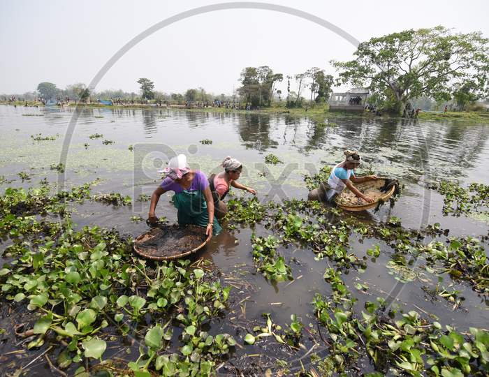 Tribal Woman Of Assam Fishing With Traditionally Woven Bamboo Baskets In Tropical Lakes Of Nagaon