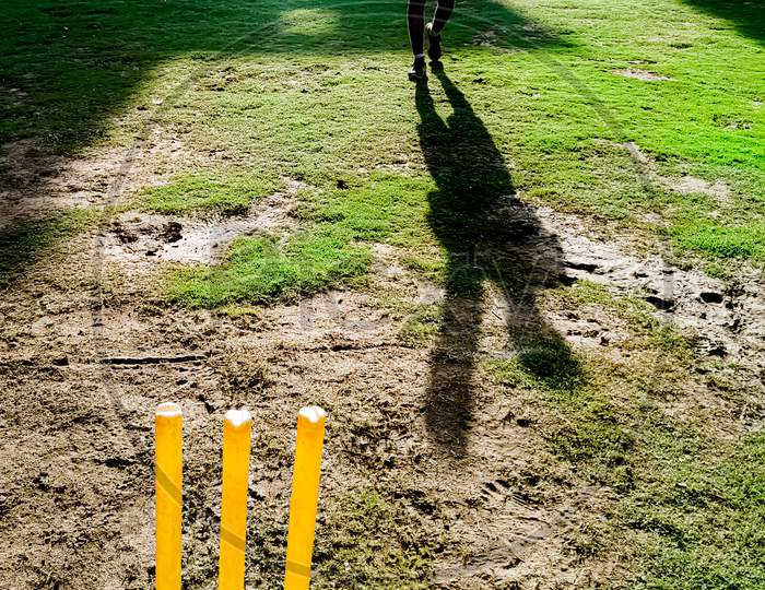 Young Indian Boys  Playing Cricket In A Lawn Garden