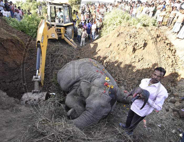 Local Villagers Rescuing An Infant Elephant From Died Mother Elephant  Hit By Train  At Hojai , Assam
