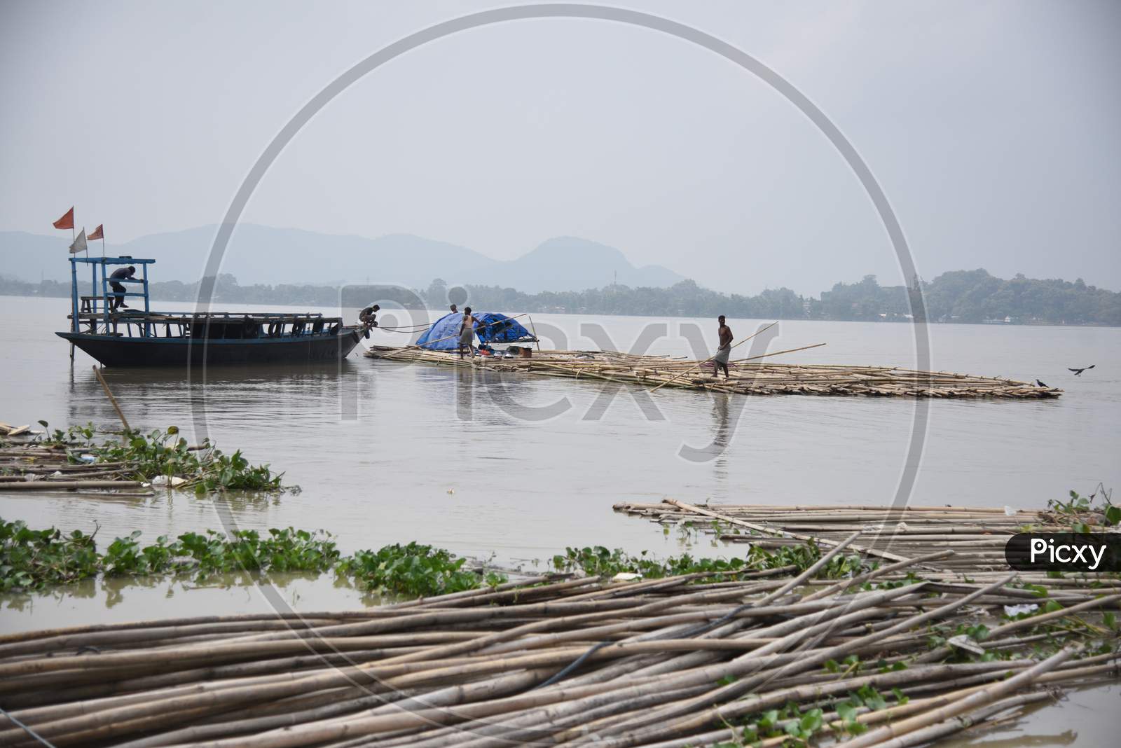 Laborers busy working at a wholesale Bamboo market alongside the banks of river Brahmaputra, in Guwahati on 11th September 2017