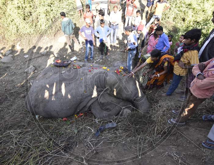 Local People Paying Homage At A Elephant Corpse Which Is Died by  Hitting An Train In Hojai , Assam