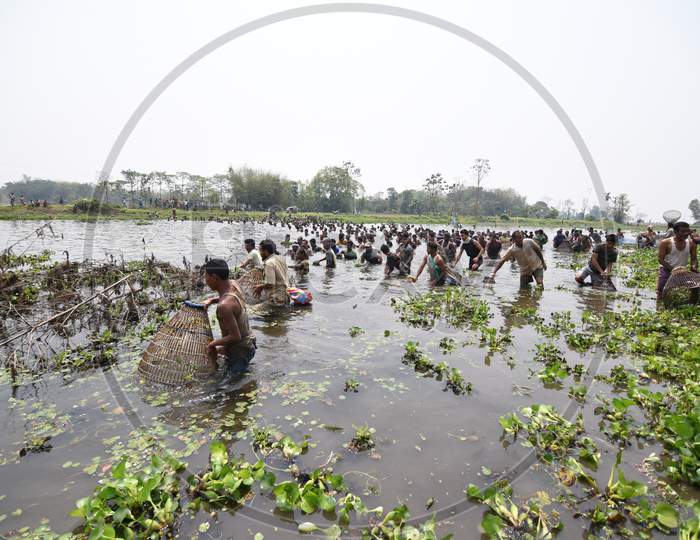 Tribal People of Assam Participating In Community Fishing With Nets in Tropical Lakes in Nagaon