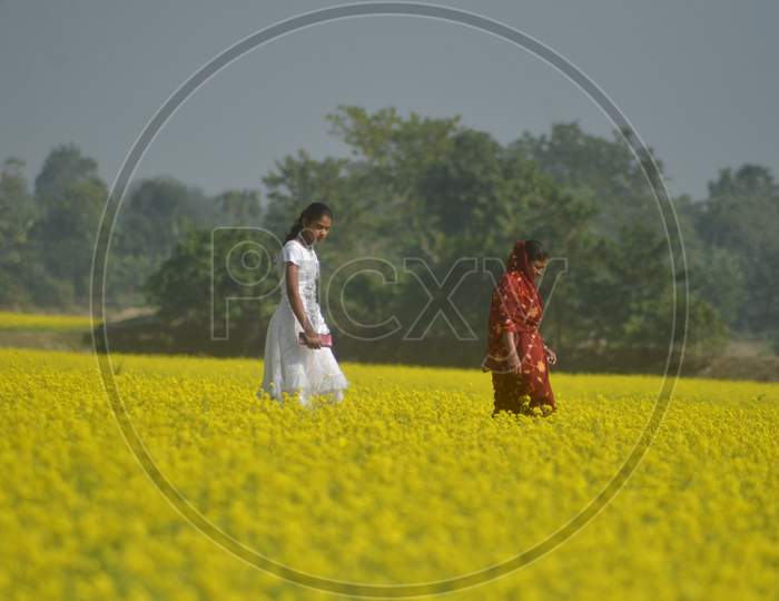 Woman Farmers In an Mustard Field With Yellow Blooming Flowers in Morigaon, Assam