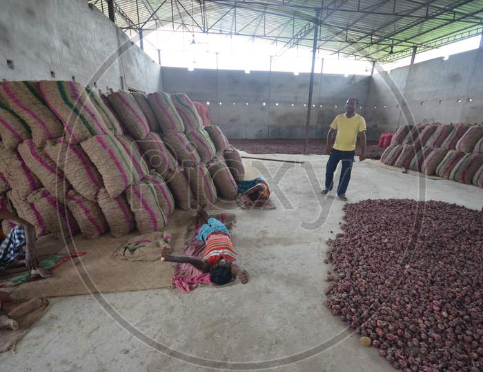Daily Labor Workers Taking Rest At  Onion Bags  in an Onion Storage House With Onion Bags in Nagaon, Assam