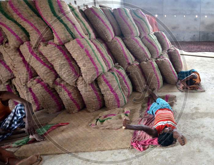 Daily Labor Workers Taking Rest At  Onion Bags  in an Onion Storage House With Onion Bags in Nagaon, Assam