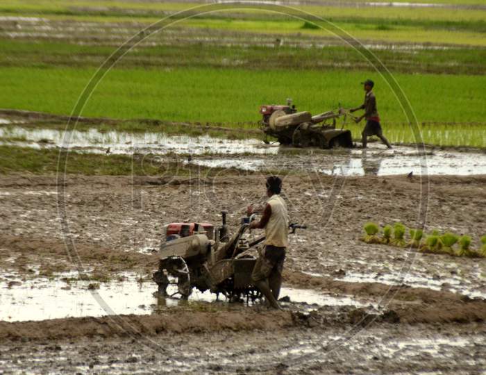 A Farmer Ploughing With Modern Agricultural  Equipment In an Paddy Field