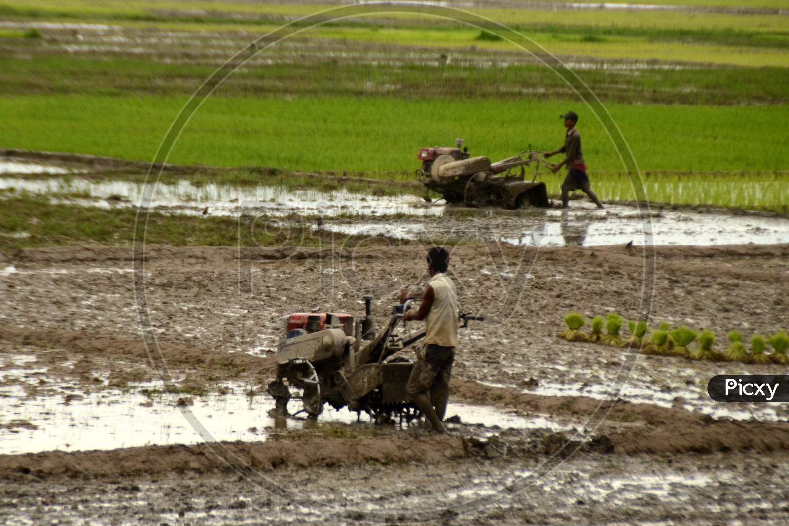 A Farmer Ploughing With Modern Agricultural  Equipment In an Paddy Field