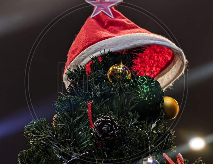 Christmas Tree  With Santa Cap