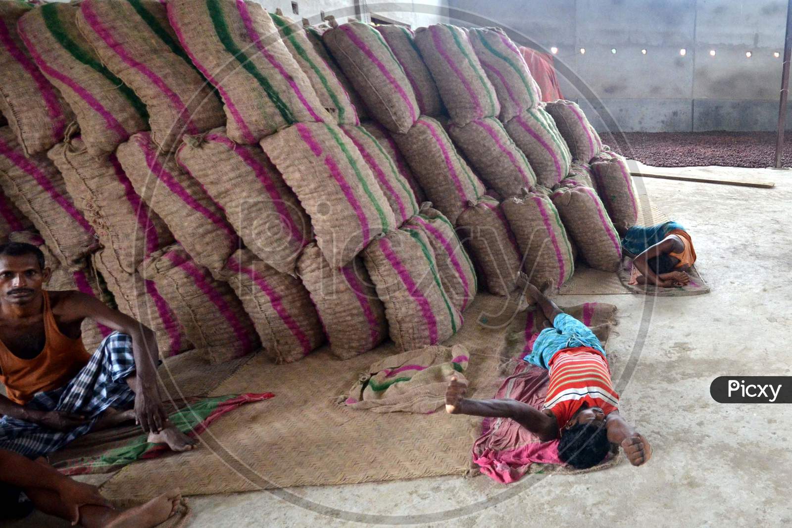 Daily Labor Workers in an Onion Storage House With Onion Bags in Nagaon, Assam