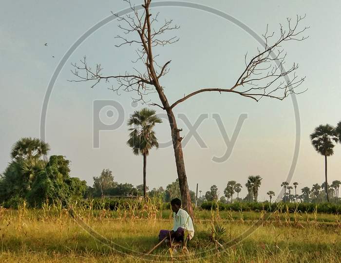 Man sitting in field