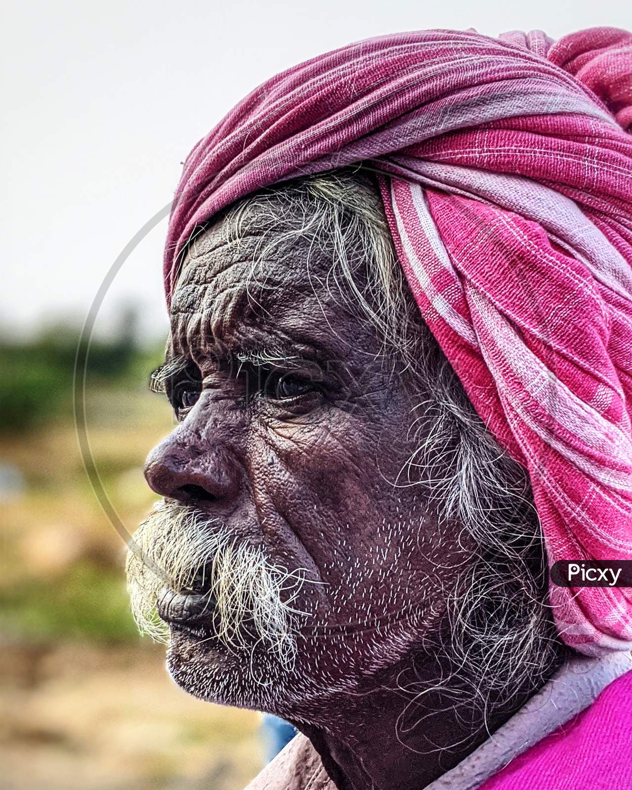 Portrait Of an Indian Old Man