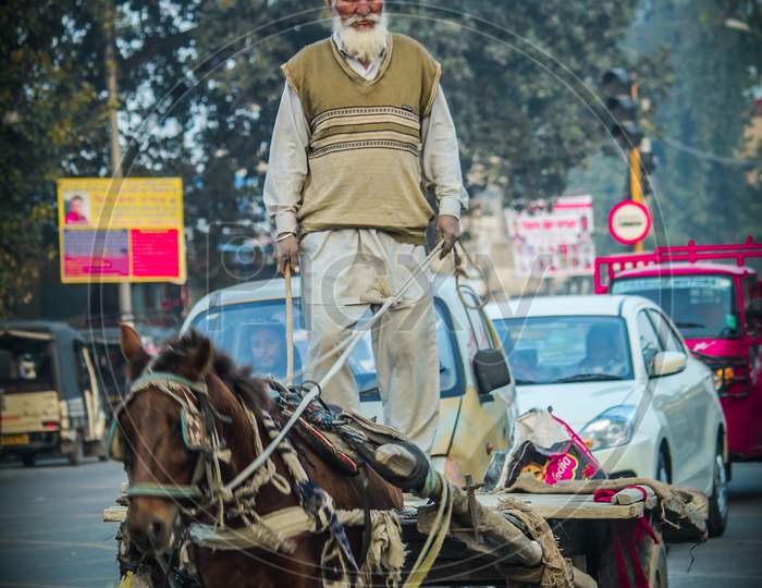 Old man riding the horse cart in Amritsar
