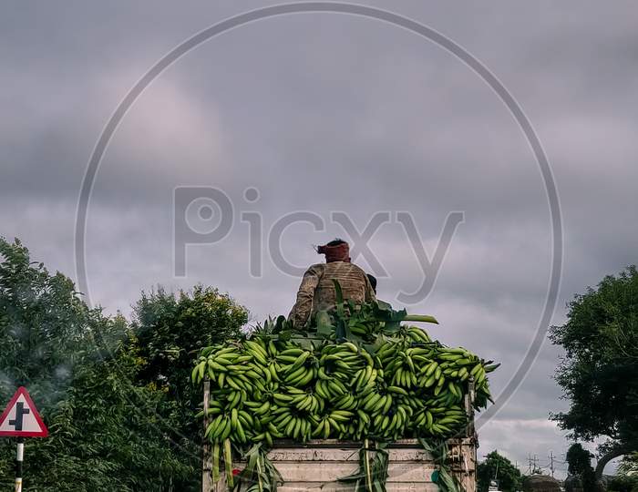 A Worker Sat on Banana Load in a Truck