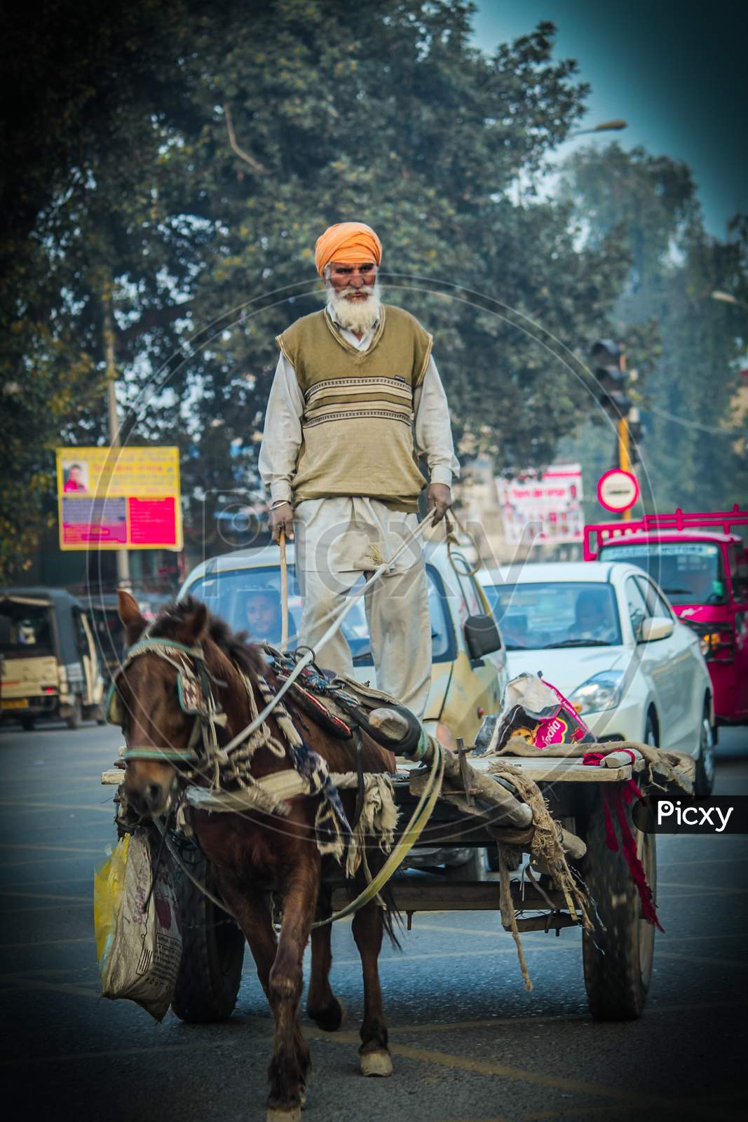 Old man riding the horse cart in Amritsar