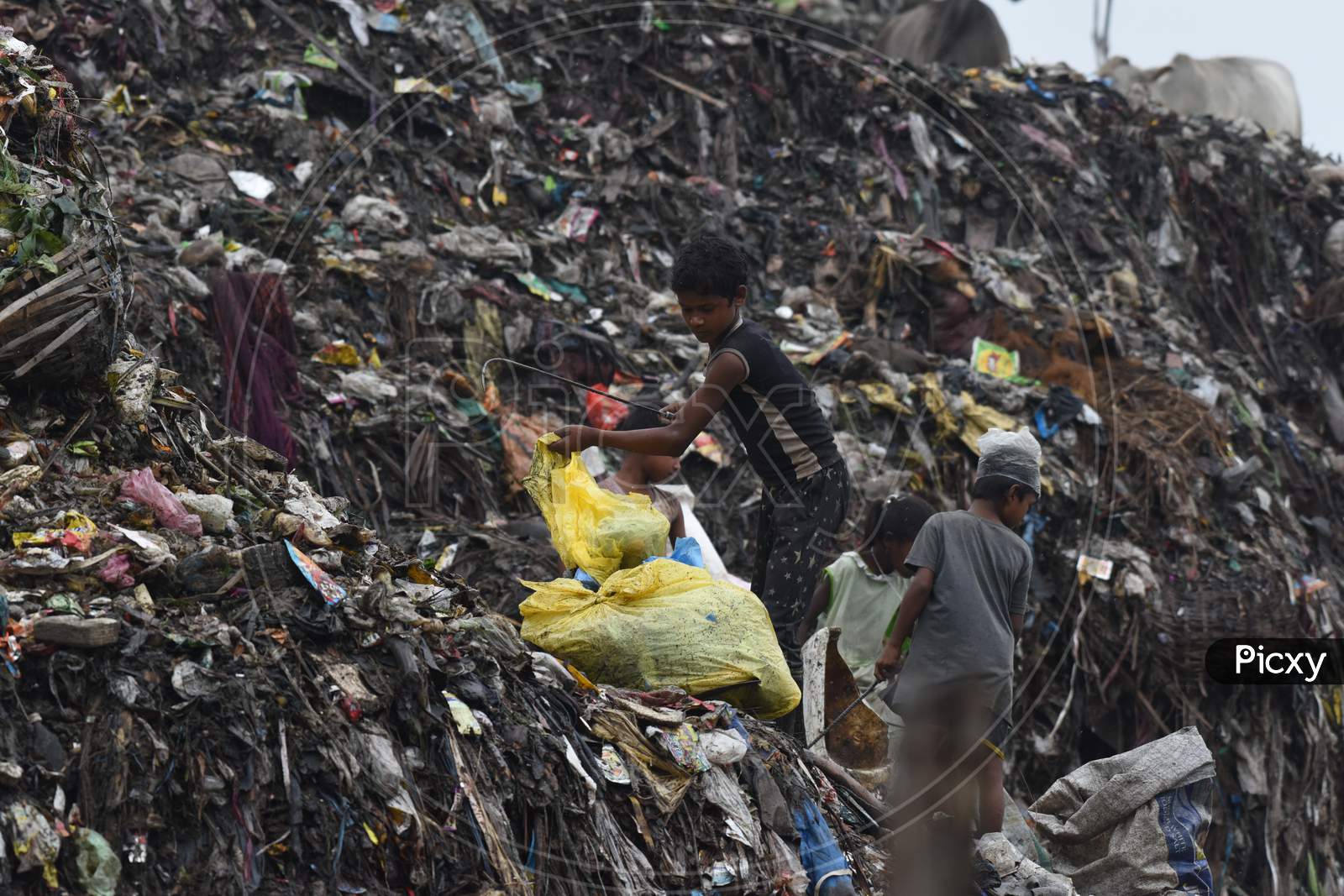 Indian Children Rag Pickers in  Dumping Ground Or Yard in Guwahati