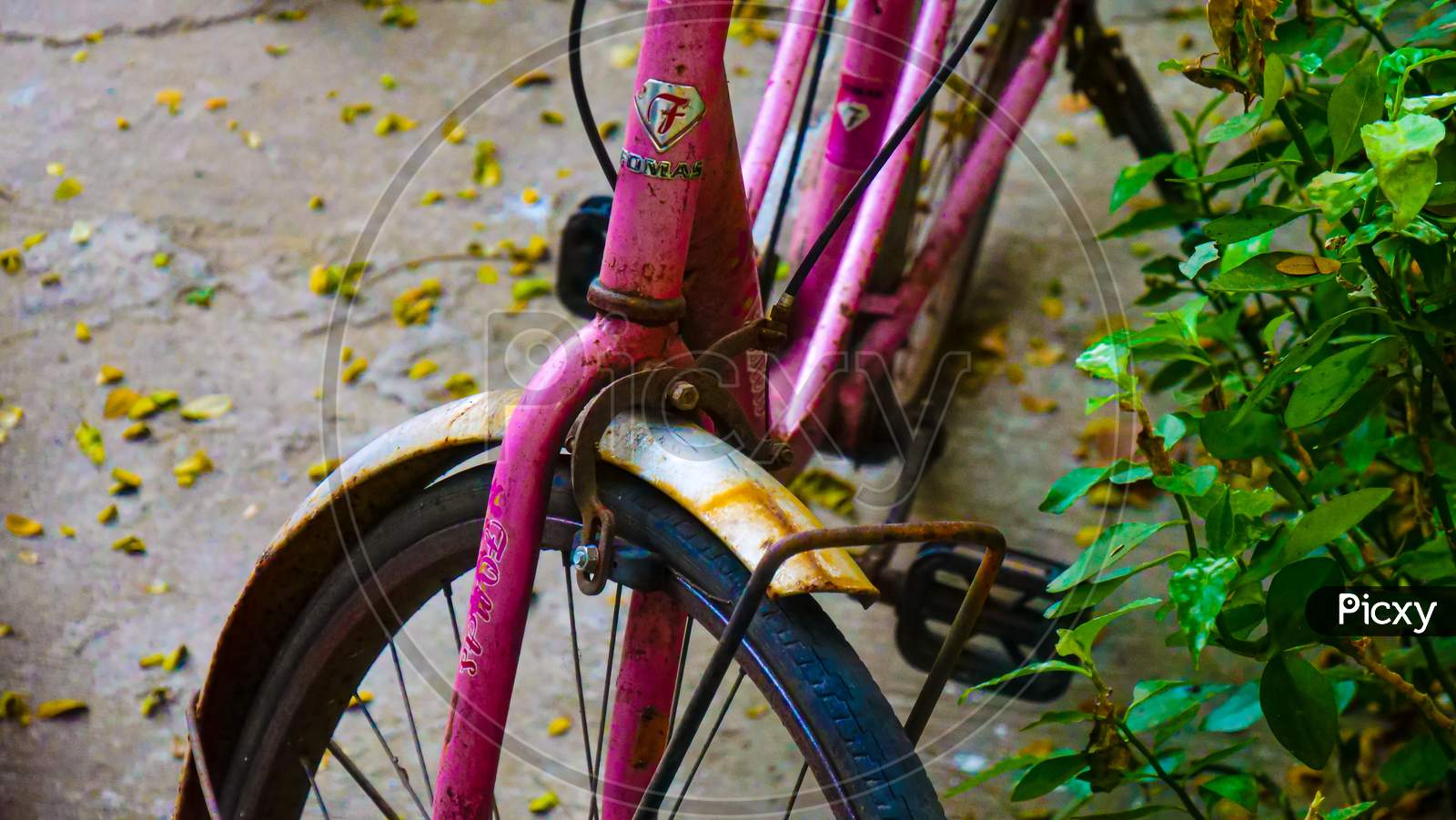 Closeup Shot of Bicycle